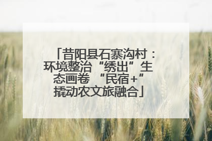 昔阳县石寨沟村：环境整治“绣出”生态画卷 “民宿+”撬动农文旅融合