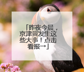 昨夜今晨，京津冀发生这些大事！点击看报→