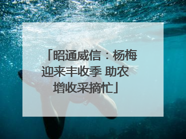 昭通威信：杨梅迎来丰收季 助农增收采摘忙