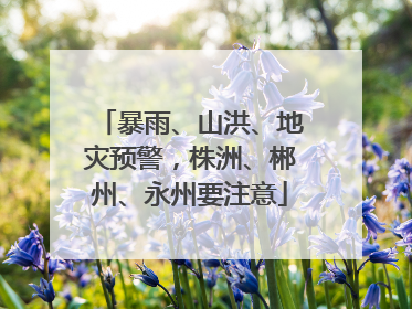暴雨、山洪、地灾预警，株洲、郴州、永州要注意
