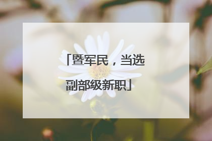 暨军民，当选副部级新职