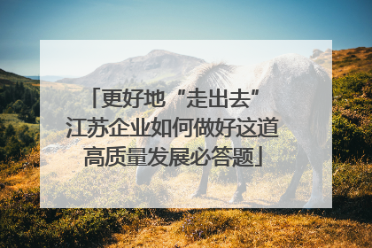 更好地“走出去” 江苏企业如何做好这道高质量发展必答题