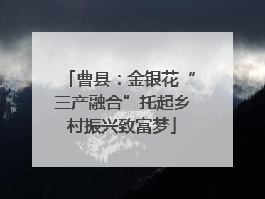 曹县：金银花“三产融合”托起乡村振兴致富梦