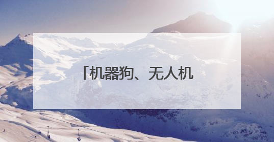 机器狗、无人机上阵！深圳福田举办综合应急演练护航十五运会