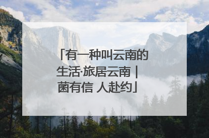 有一种叫云南的生活·旅居云南｜菌有信 人赴约