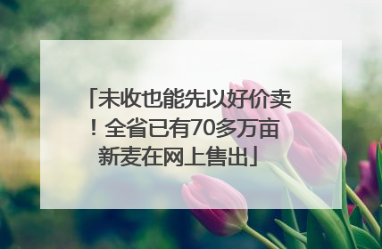 未收也能先以好价卖！全省已有70多万亩新麦在网上售出