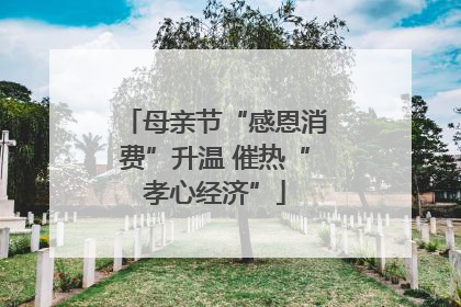 母亲节“感恩消费”升温 催热“孝心经济”
