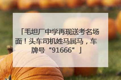 毛坦厂中学再现送考名场面！头车司机姓马属马，车牌号“91666”