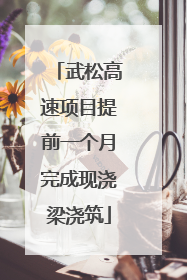 武松高速项目提前一个月完成现浇梁浇筑