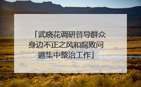 武晓花调研督导群众身边不正之风和腐败问题集中整治工作