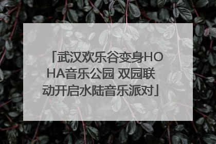 武汉欢乐谷变身HOHA音乐公园 双园联动开启水陆音乐派对