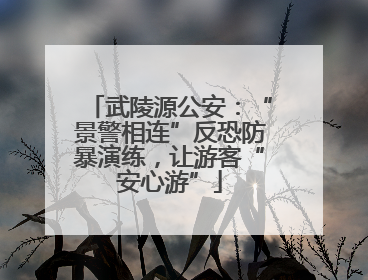 武陵源公安：“景警相连”反恐防暴演练，让游客“安心游”