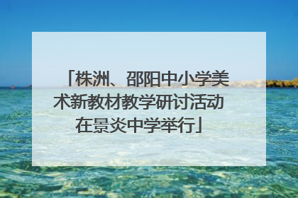 株洲、邵阳中小学美术新教材教学研讨活动在景炎中学举行