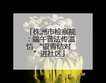 株洲市检察院：端午普法传温情 “银青结对”进社区