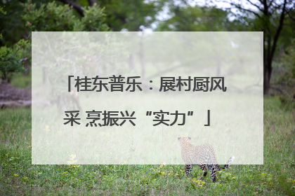 桂东普乐:展村厨风采 烹振兴“实力”