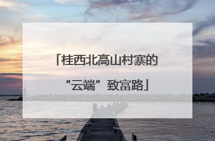 桂西北高山村寨的“云端”致富路