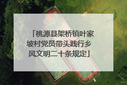 桃源县架桥镇叶家坡村党员带头践行乡风文明二十条规定