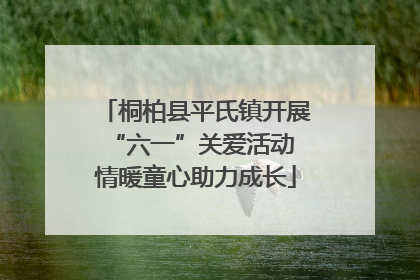 桐柏县平氏镇开展“六一”关爱活动 情暖童心助力成长
