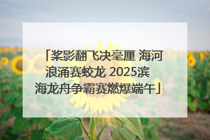 桨影翻飞决毫厘 海河浪涌赛蛟龙 2025滨海龙舟争霸赛燃爆端午