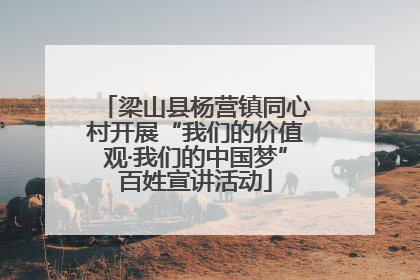 梁山县杨营镇同心村开展“我们的价值观·我们的中国梦”百姓宣讲活动