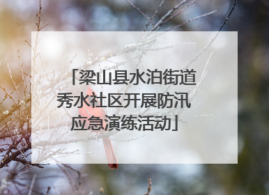 梁山县水泊街道秀水社区开展防汛应急演练活动
