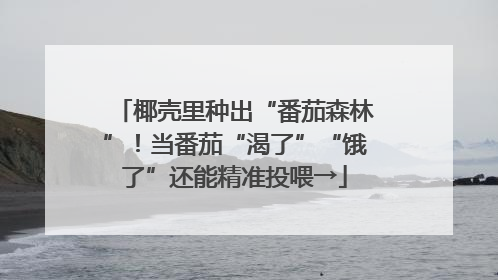 椰壳里种出“番茄森林”！当番茄“渴了”“饿了”还能精准投喂→
