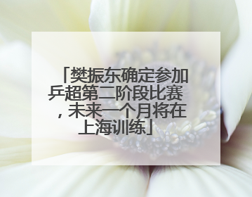 樊振东确定参加乒超第二阶段比赛，未来一个月将在上海训练