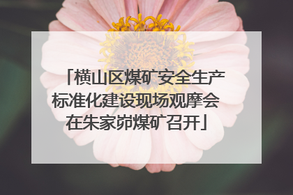 横山区煤矿安全生产标准化建设现场观摩会在朱家峁煤矿召开