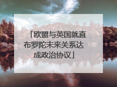 欧盟与英国就直布罗陀未来关系达成政治协议