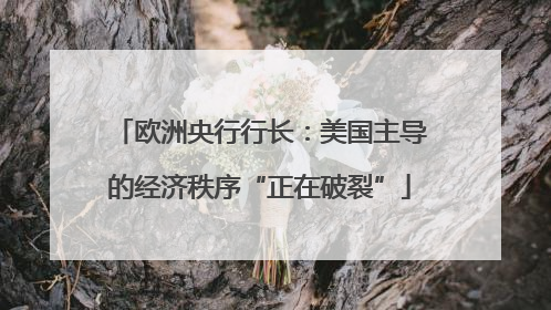 欧洲央行行长：美国主导的经济秩序“正在破裂”