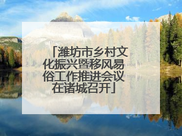 潍坊市乡村文化振兴暨移风易俗工作推进会议在诸城召开