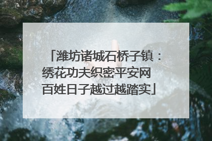潍坊诸城石桥子镇：绣花功夫织密平安网 百姓日子越过越踏实