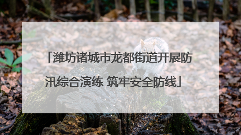 潍坊诸城市龙都街道开展防汛综合演练 筑牢安全防线