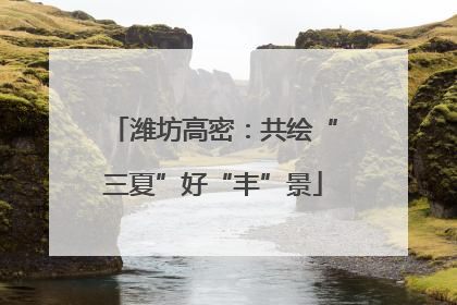 潍坊高密：共绘“三夏”好“丰”景