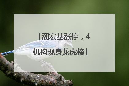 潮宏基涨停，4机构现身龙虎榜