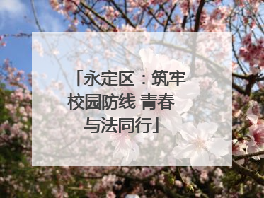 永定区：筑牢校园防线 青春与法同行