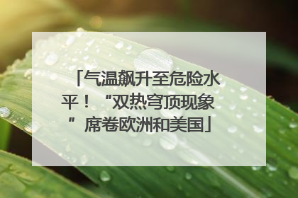 气温飙升至危险水平！“双热穹顶现象”席卷欧洲和美国