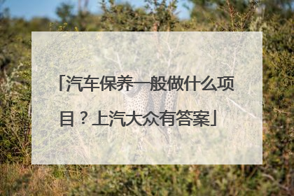 汽车保养一般做什么项目？上汽大众有答案