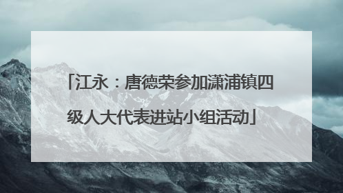 江永：唐德荣参加潇浦镇四级人大代表进站小组活动