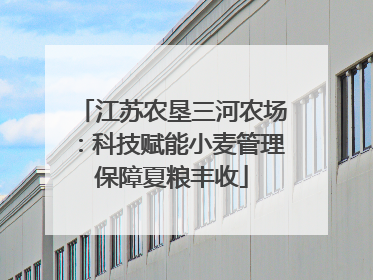 江苏农垦三河农场：科技赋能小麦管理保障夏粮丰收