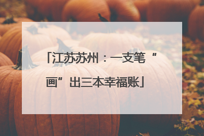 江苏苏州：一支笔“画”出三本幸福账