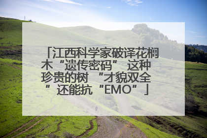 江西科学家破译花榈木“遗传密码” 这种珍贵的树 “才貌双全”还能抗“EMO”
