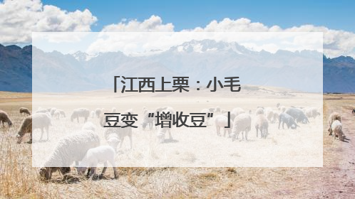 江西上栗：小毛豆变“增收豆”