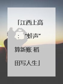 江西上高：“蛙声”算新账 稻田写人生
