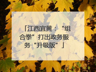 江西宜黄：“组合拳”打出政务服务“升级版”