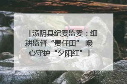 汤阴县纪委监委：细耕监督“责任田” 暖心守护“夕阳红”