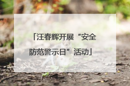 汪春辉开展“安全防范警示日”活动