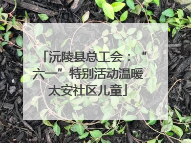 沅陵县总工会：“六一”特别活动温暖太安社区儿童