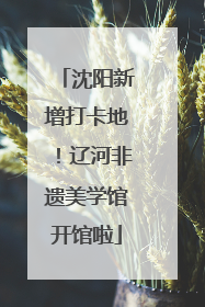 沈阳新增打卡地！辽河非遗美学馆开馆啦
