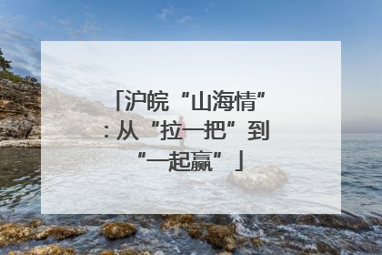 沪皖“山海情”：从“拉一把”到“一起赢”